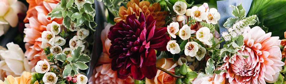 Florists, Floral Arrangements, Bouquets in the Levittown, Bucks County PA area